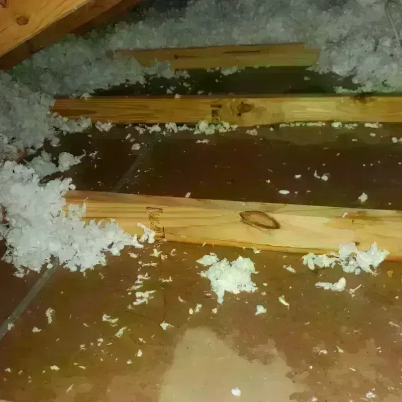 Attic Water Damage in Fox Island, WA